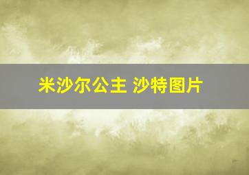 米沙尔公主 沙特图片